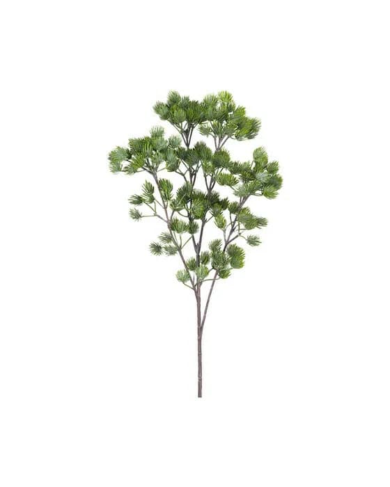 Larch Sprig Green