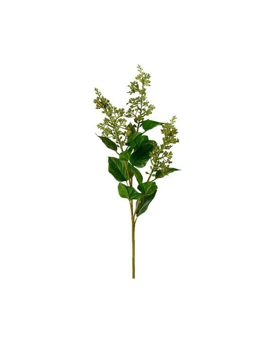 Grüner Beerenzweig
