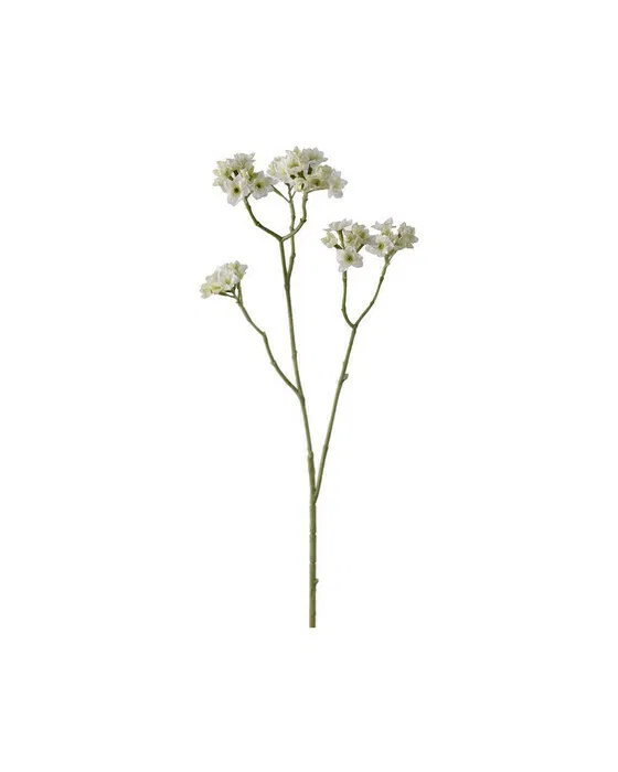 Blomkvist Schnittblume weiß