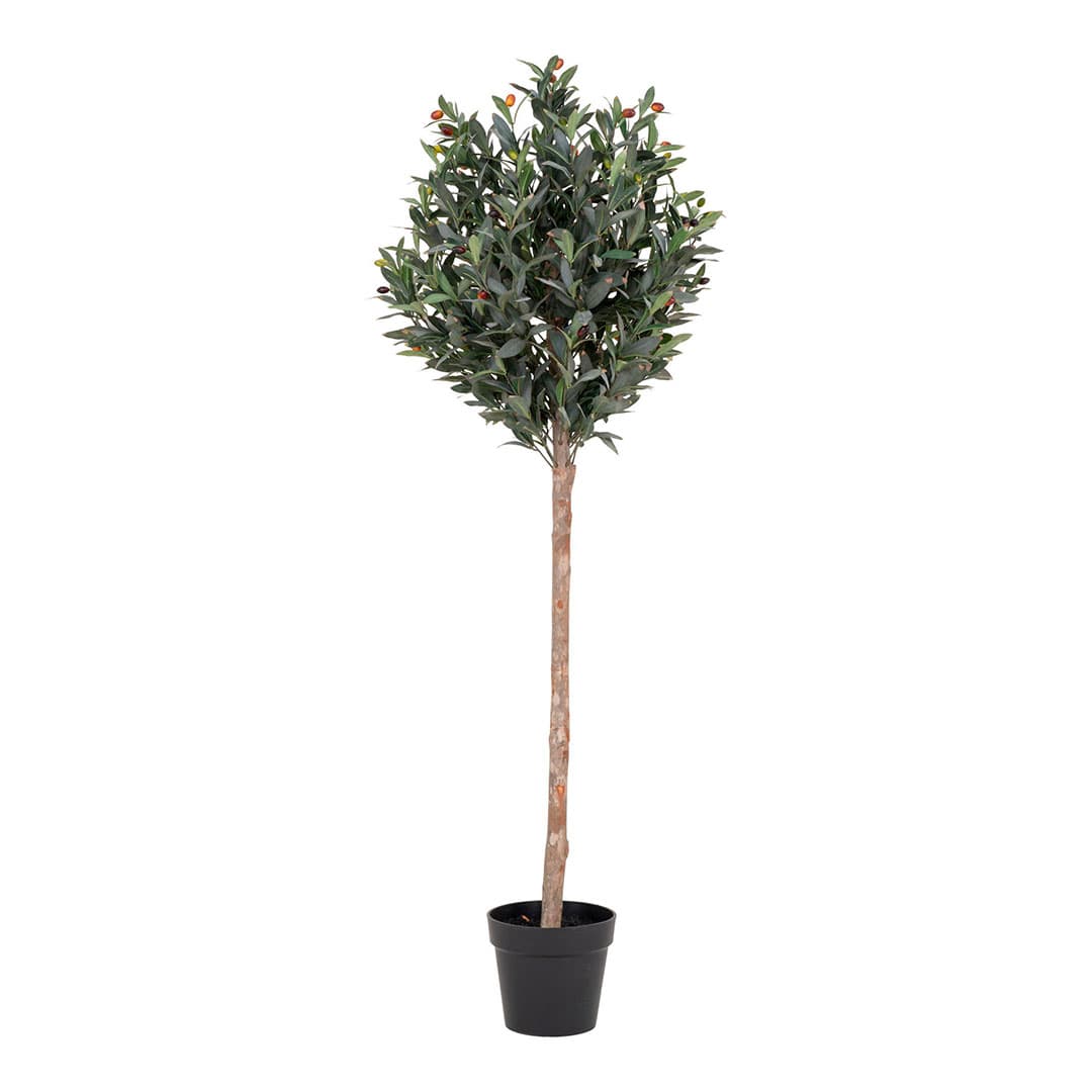 Oliventræ Künstliche Pflanze H150 cm grün.