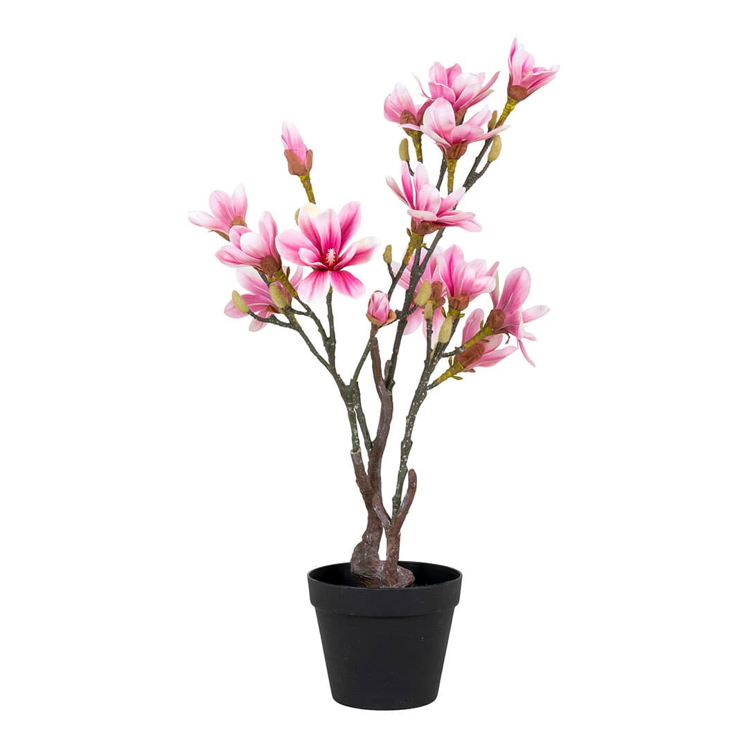 Magnoliatræ Künstliche Pflanze H74 cm grün, rosa.