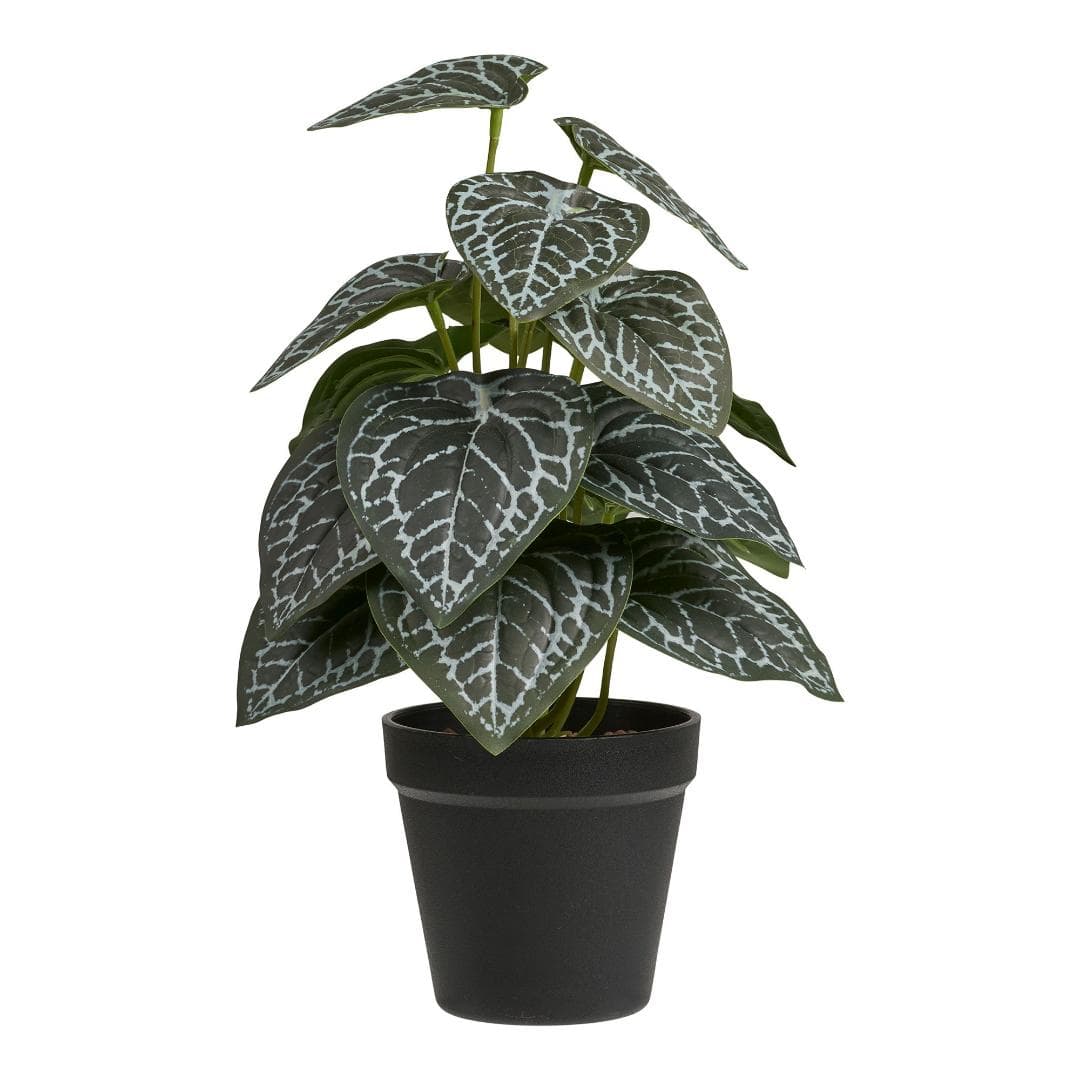 Alocasia künstliche Pflanze Höhe 33cm grün.