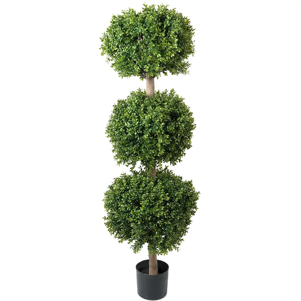 Mr Plant, Buchsbaum 140 cm