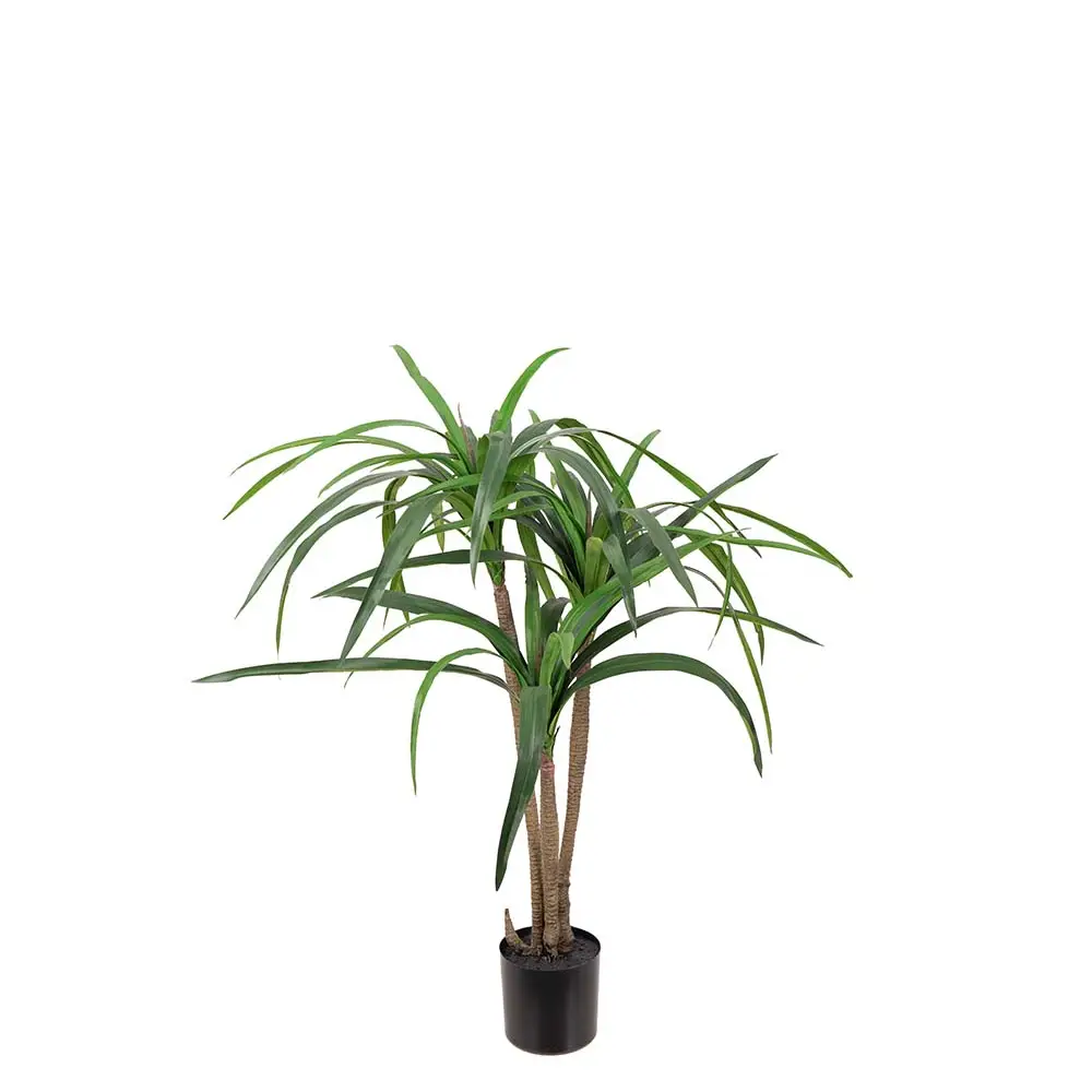 Mr Plant, Dracena-Palme 90 cm