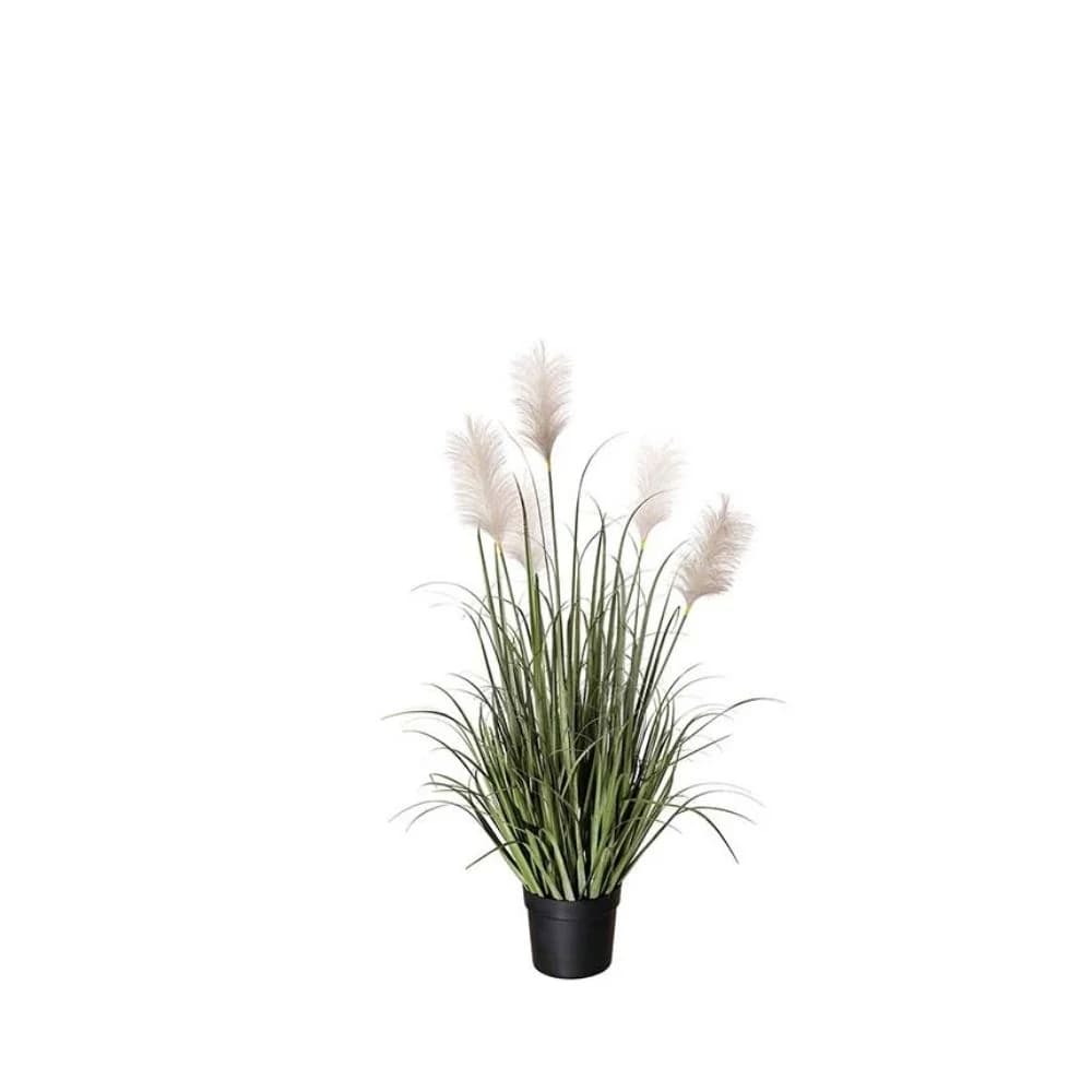 Mr Plant, Gras 110cm