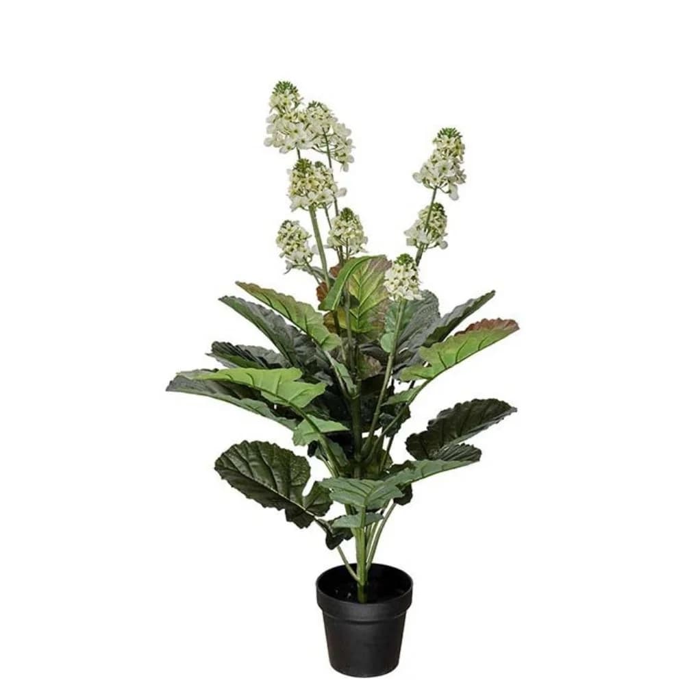 Mr Plant, Cole Blume Weiß 105 cm