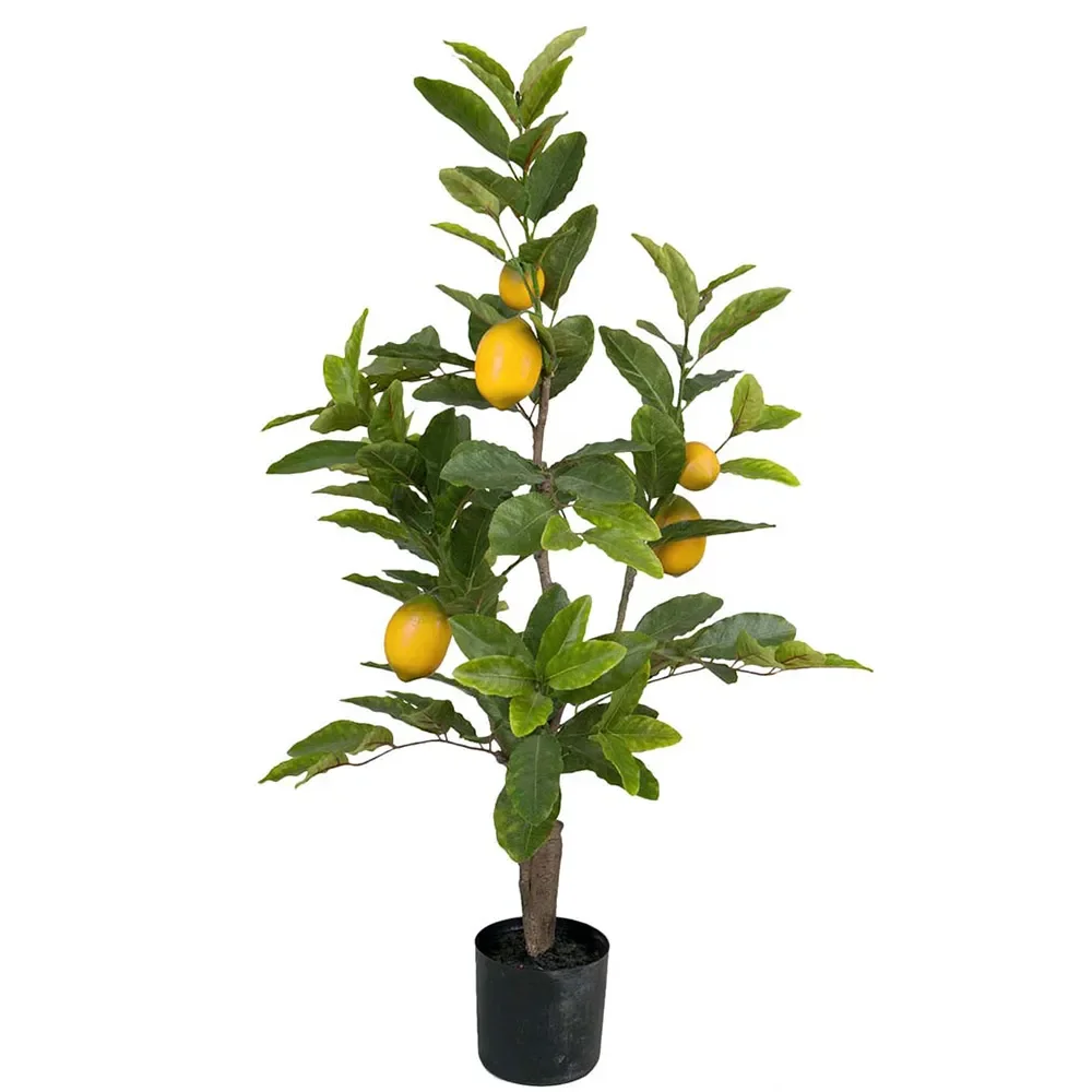 Mr Plant, Zitronenbaum 90 cm