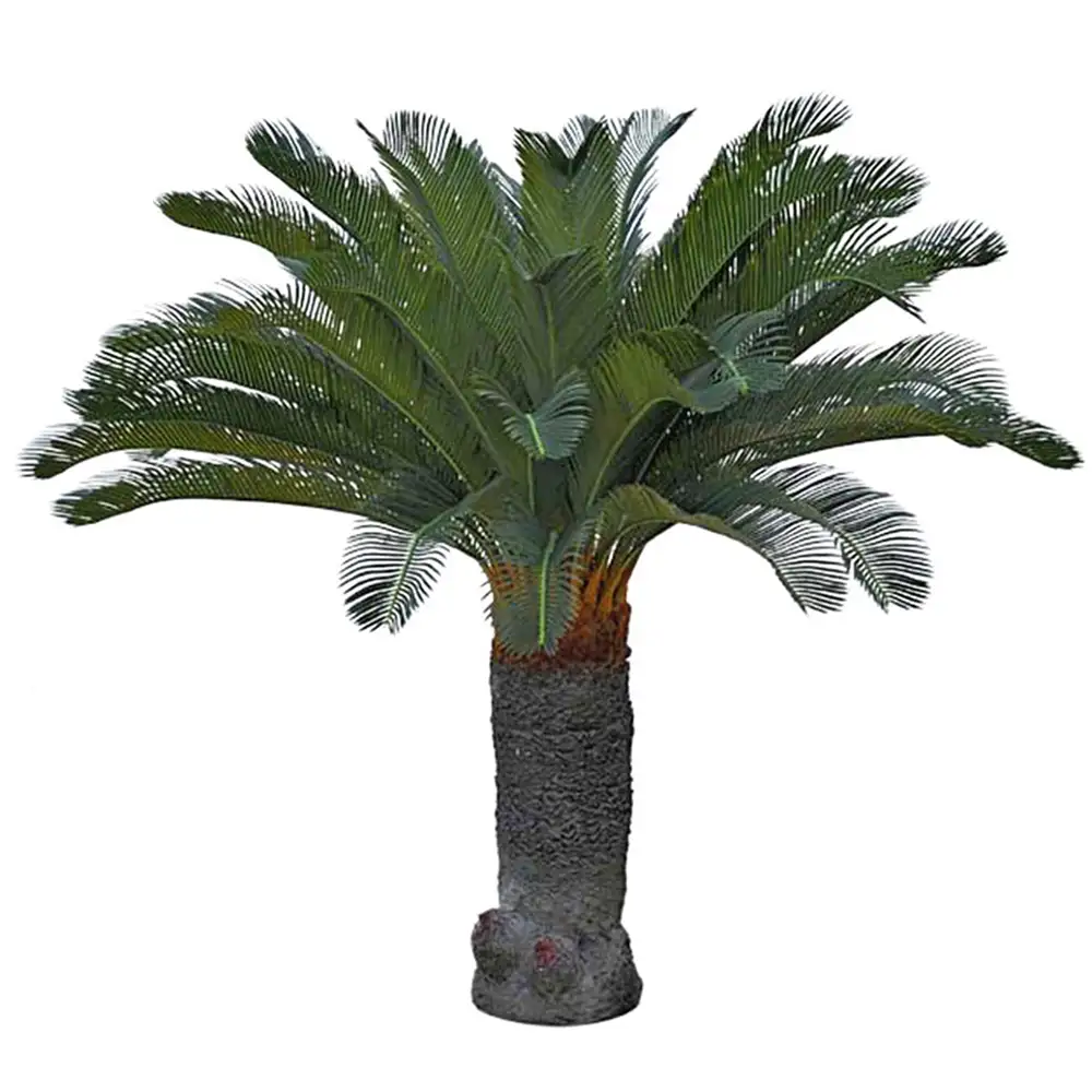 Mr Plant, Cycas-Palme 100 cm