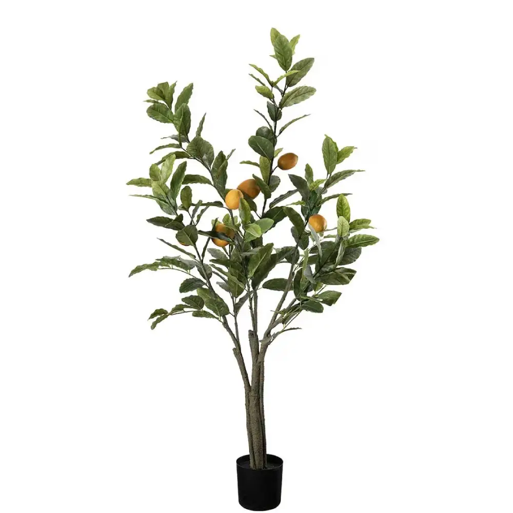 Mr Plant, Zitronenbaum Grün 120 cm