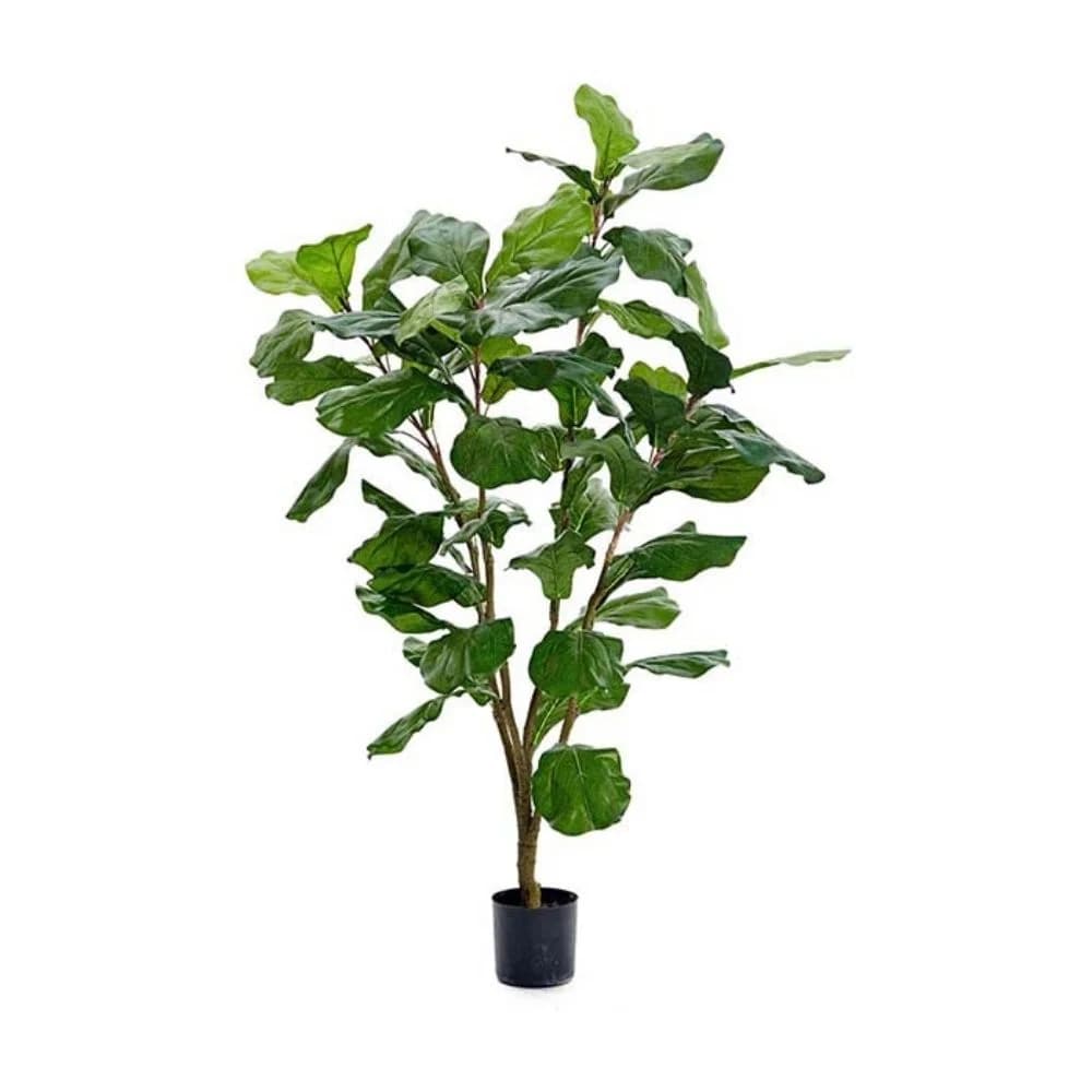Mr Plant, Geigenfeige Grün 120 cm