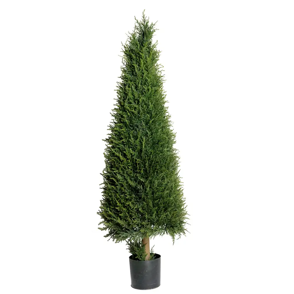 Mr Plant, Einzelner Baum 110 cm