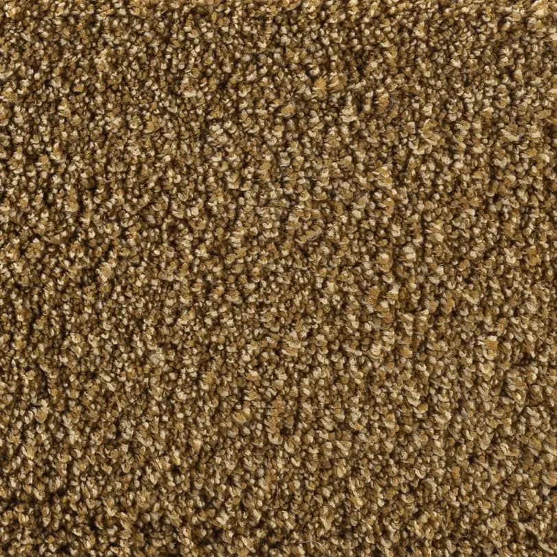 Artwood, Cape Cognac Teppich 4x3 m
