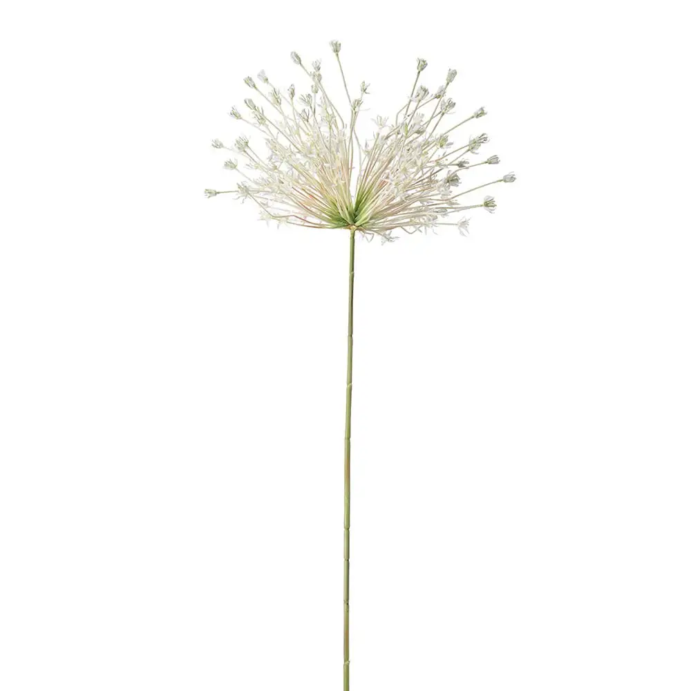 Mr Plant, Allium Weiß 125 cm
