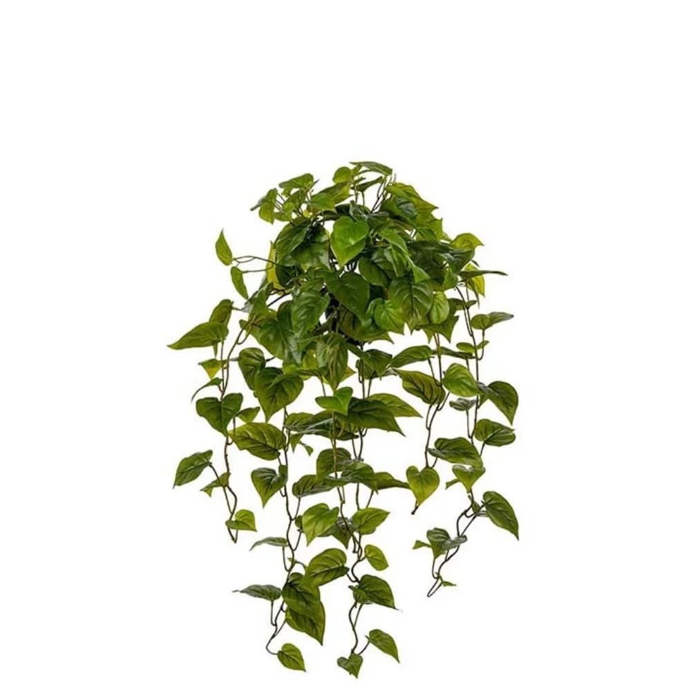 Mr Plant, Efeutute Grün 30 cm