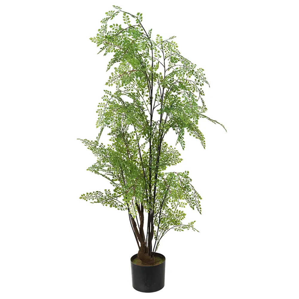 Mr Plant, Adiantum-Baum 110 cm