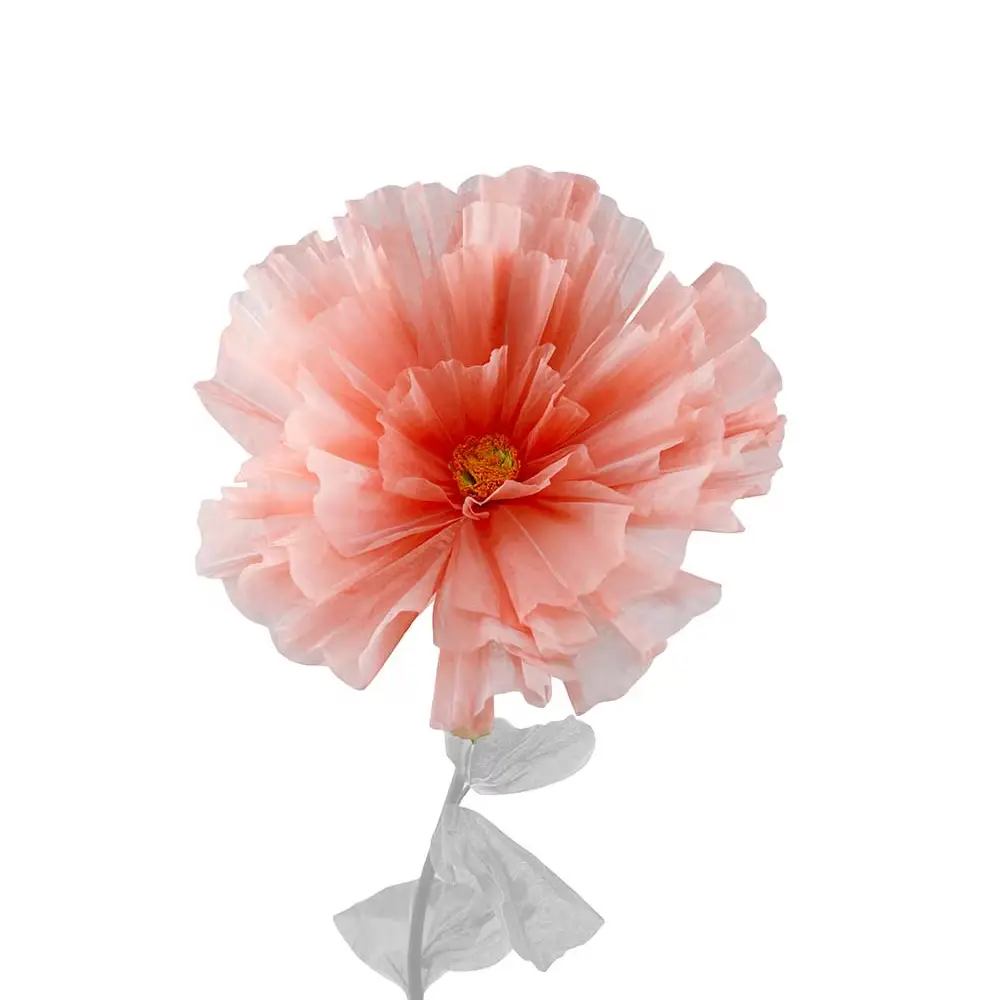 Mr Plant, Blumen-Gänseblümchen-Orange