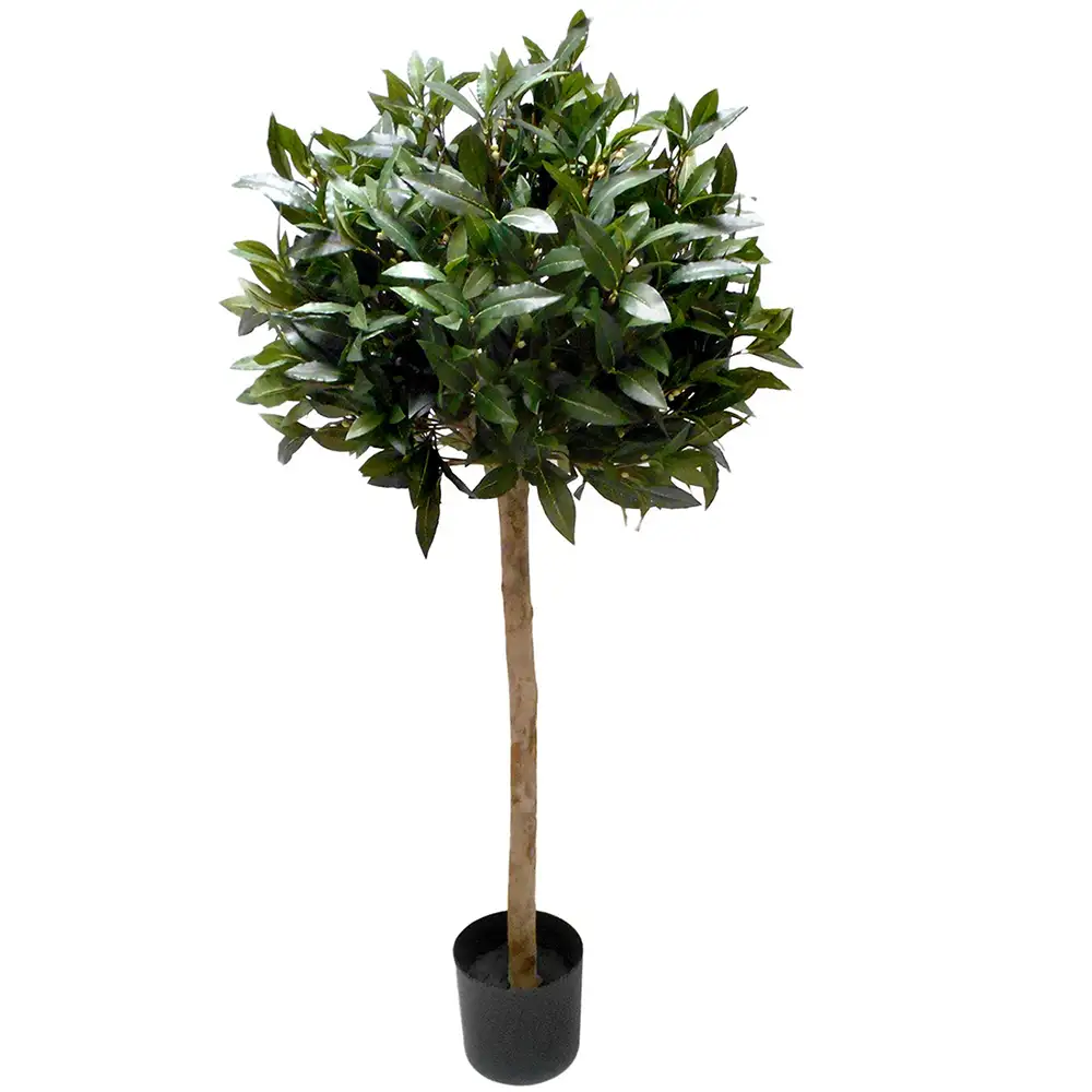 Mr Plant, Lager 150 cm