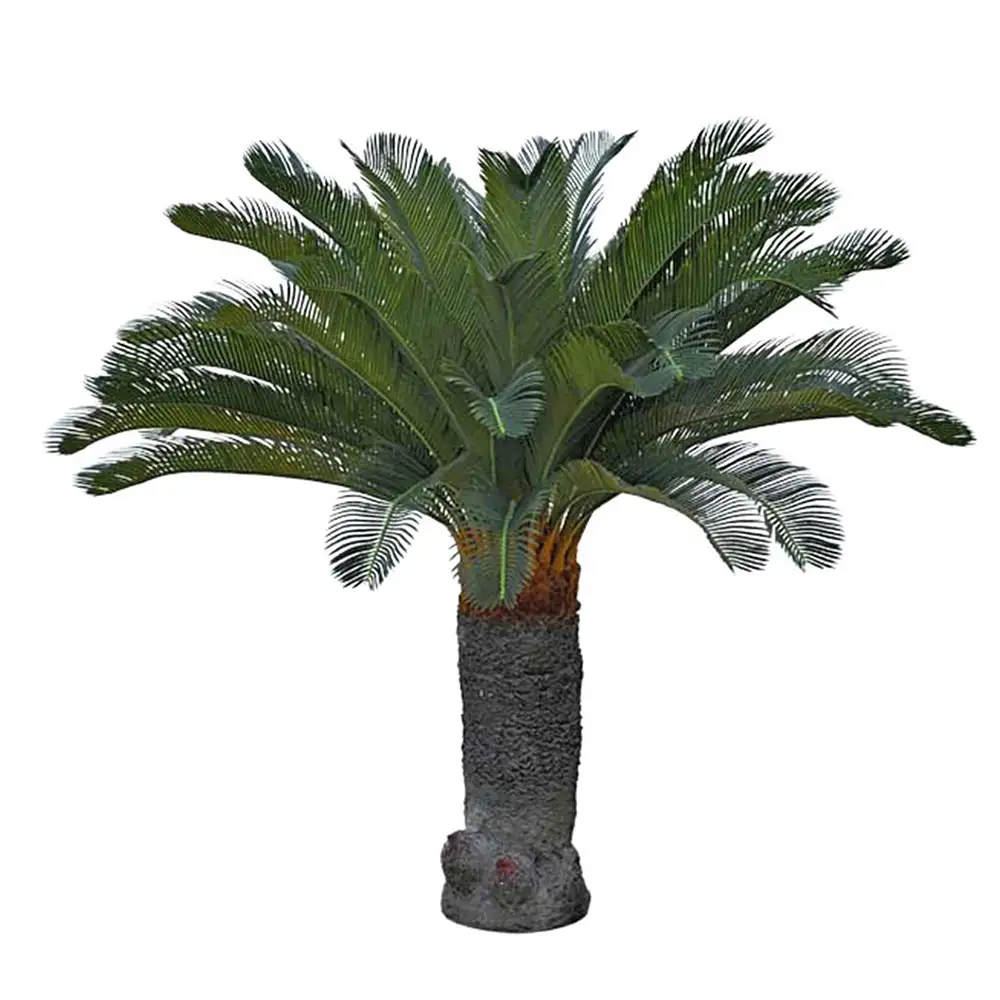 Mr Plant, Cycas-Palme 130 cm