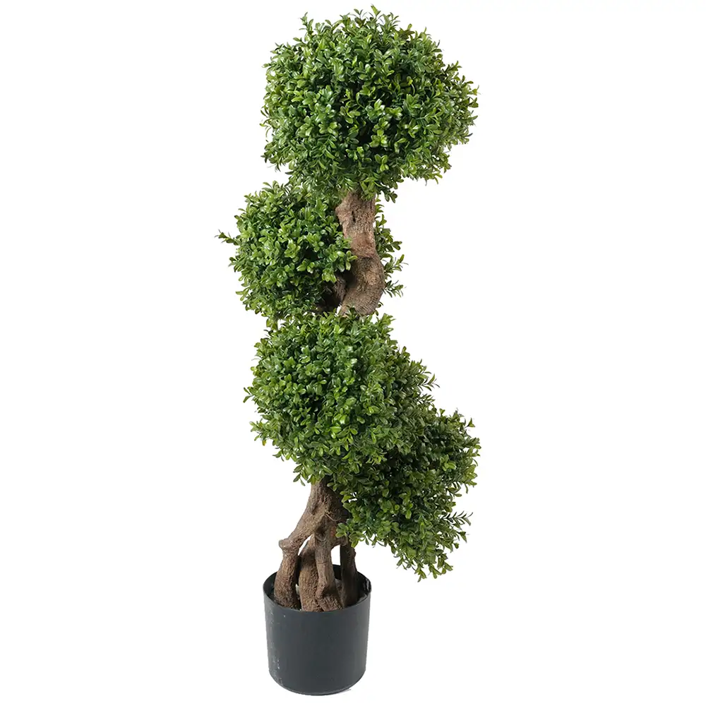 Mr Plant, Buchsbaum 110 cm