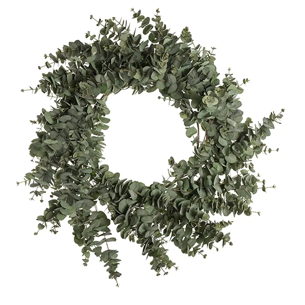 Mr Plant, Eukalyptus Kranz 100 cm