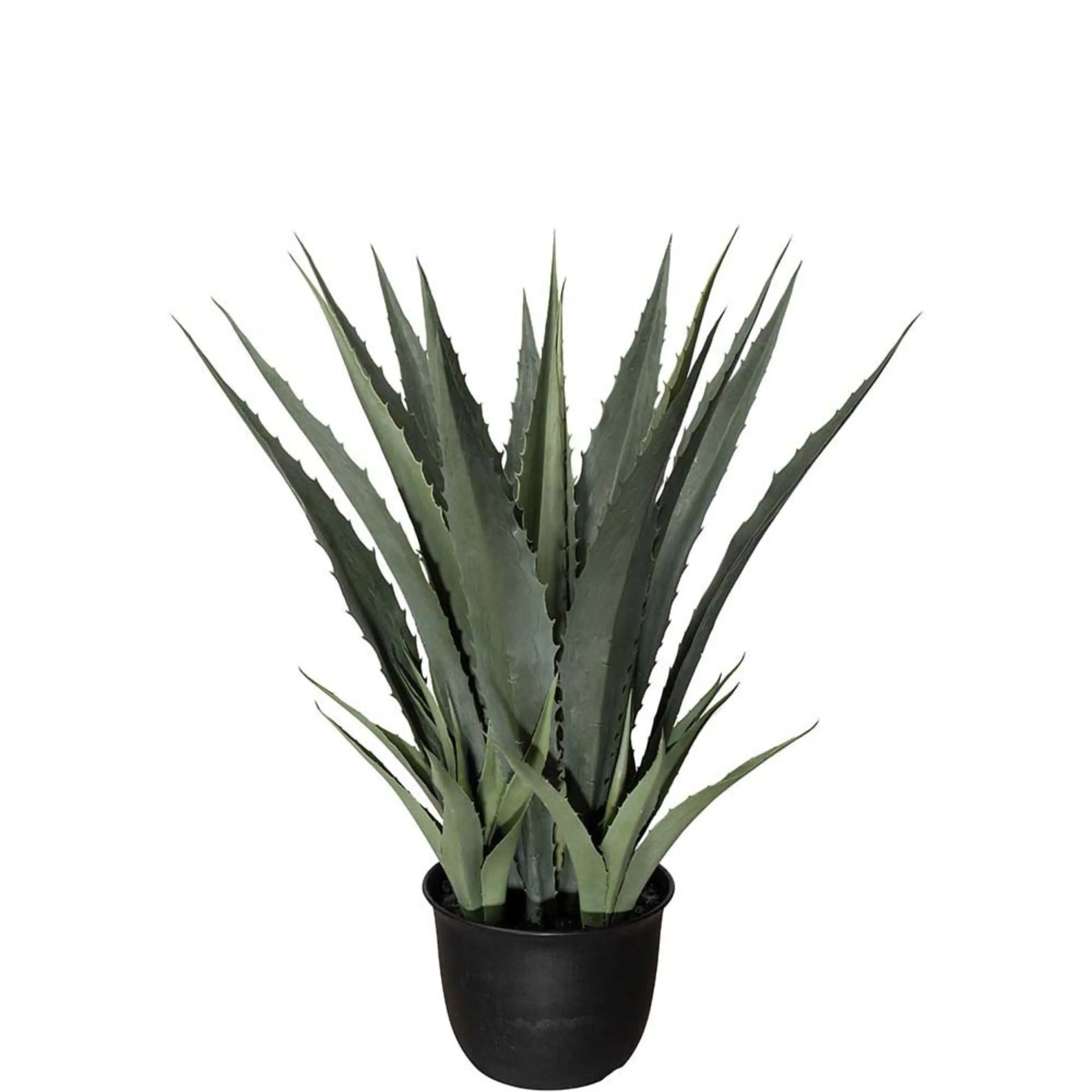 Mr Plant, Agave grün 100 cm