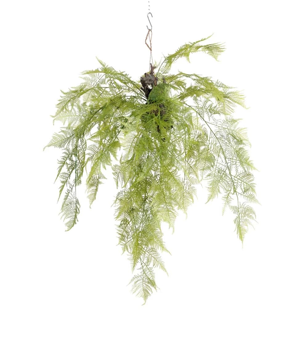 Mr Plant, Farngrün 110 cm