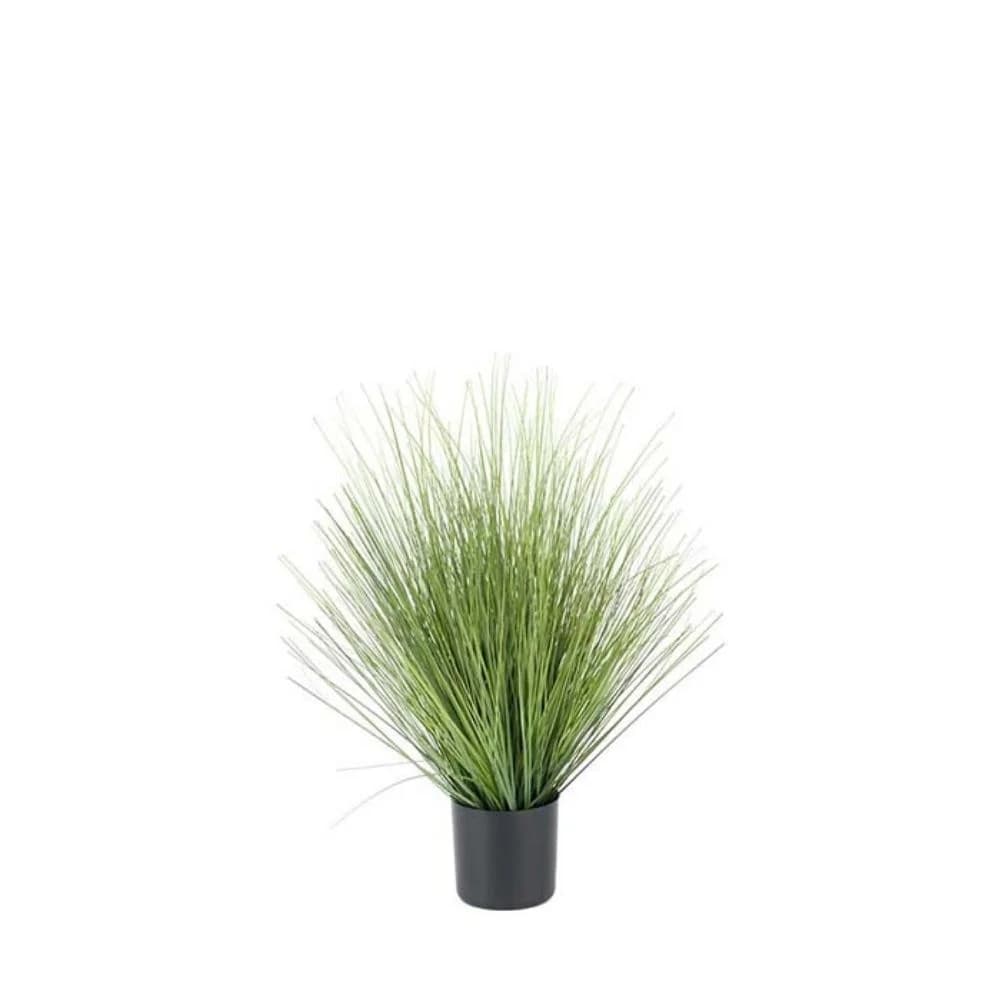 Mr Plant, Gras Grün 60cm