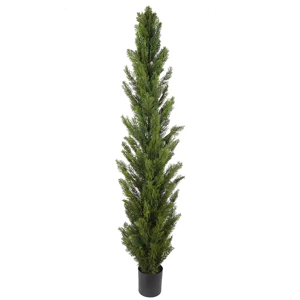 Mr Plant, Zypressenbaum 150 cm