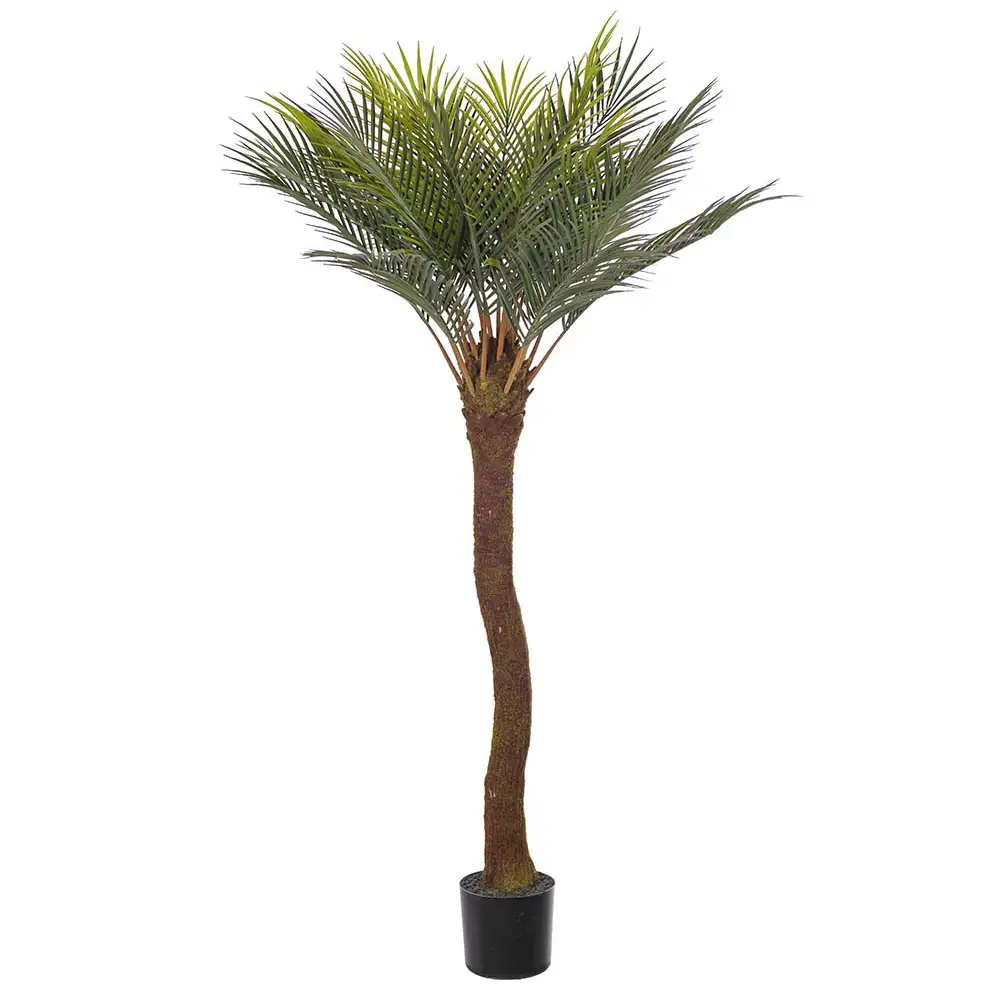 Mr Plant, Cycas-Palme 120 cm
