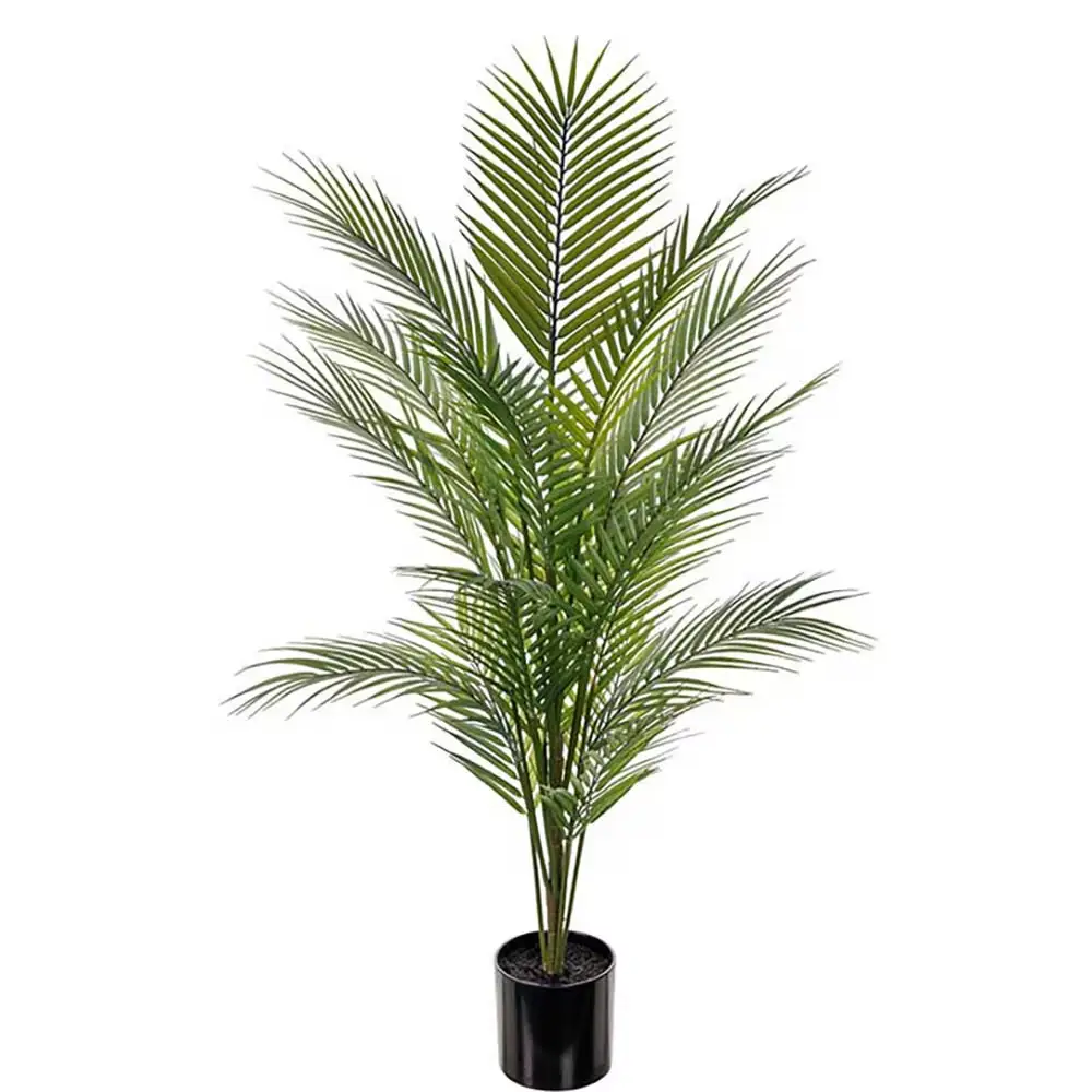 Mr Plant, Bergpalme, grüne Topfpflanze, 110 cm