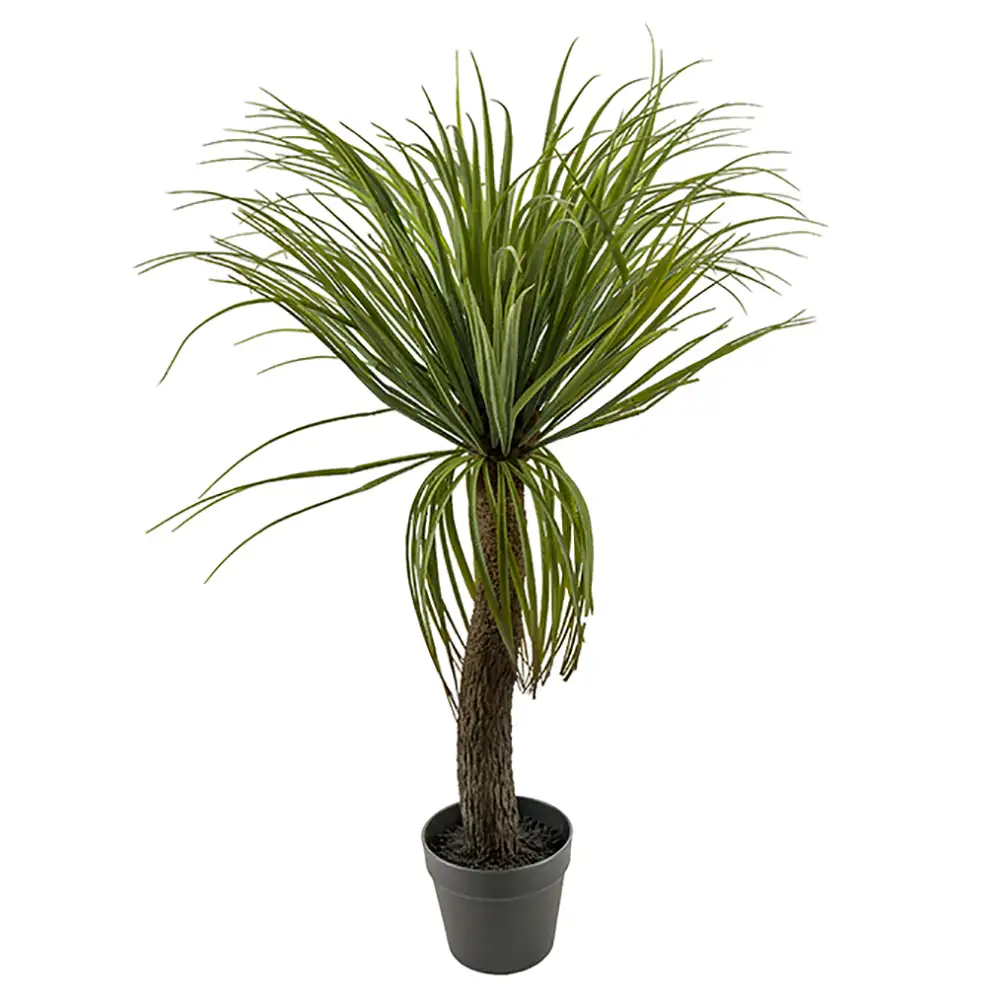 Mr Plant, Flascherlibaum 90 cm