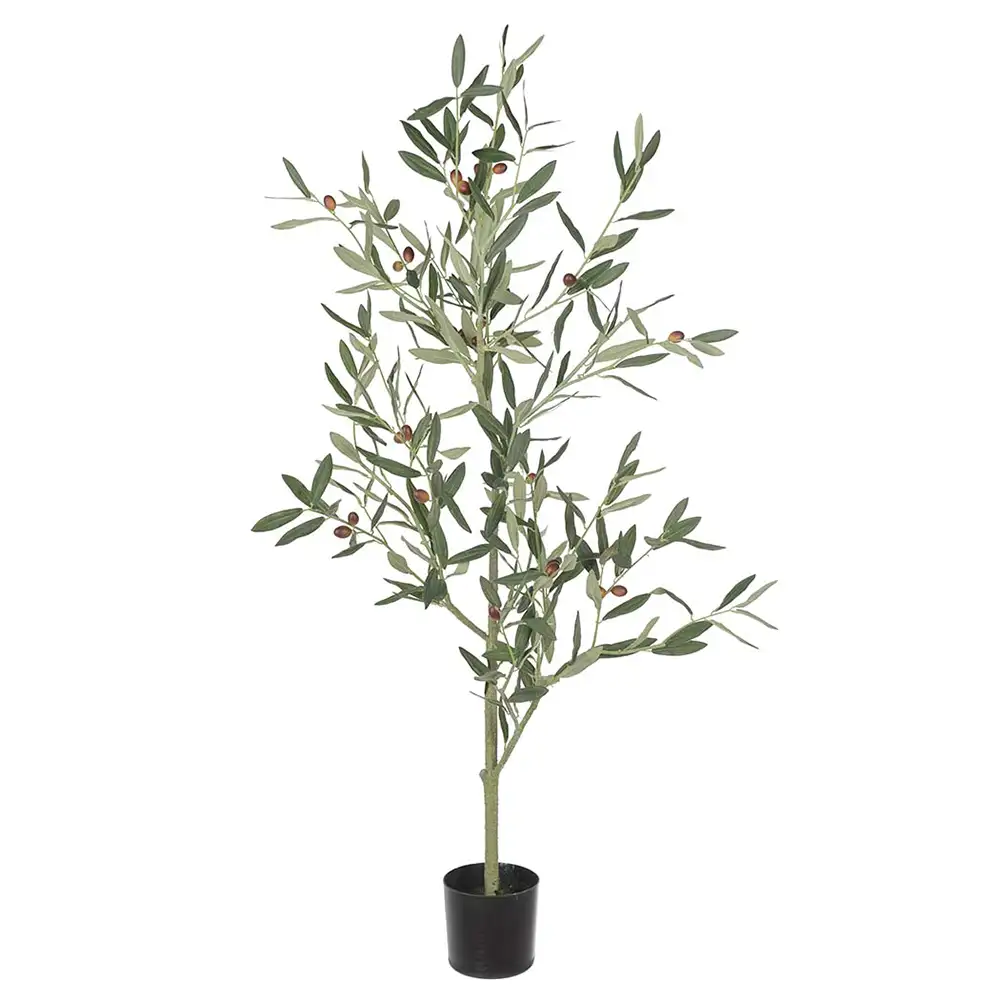 Mr Plant, Olivenbaum 120 cm Grün