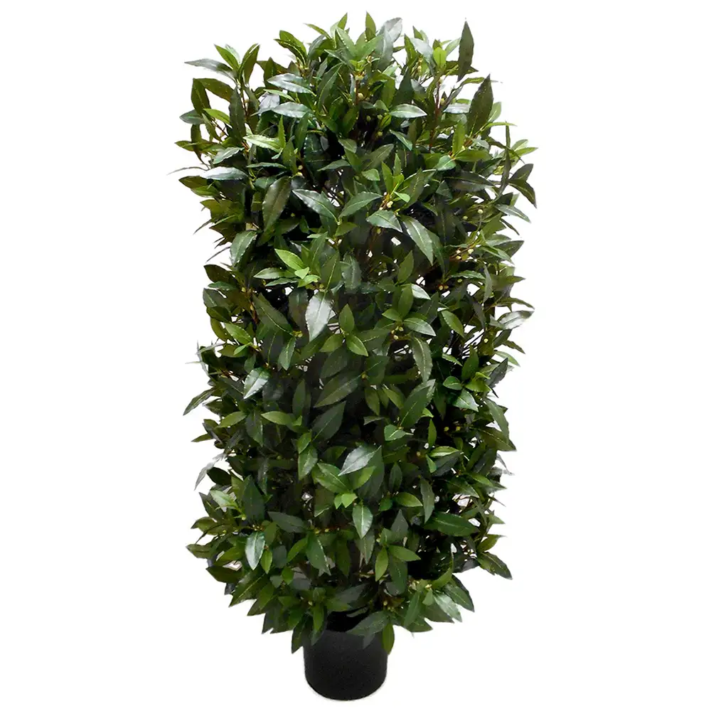Mr Plant, Lager 110 cm