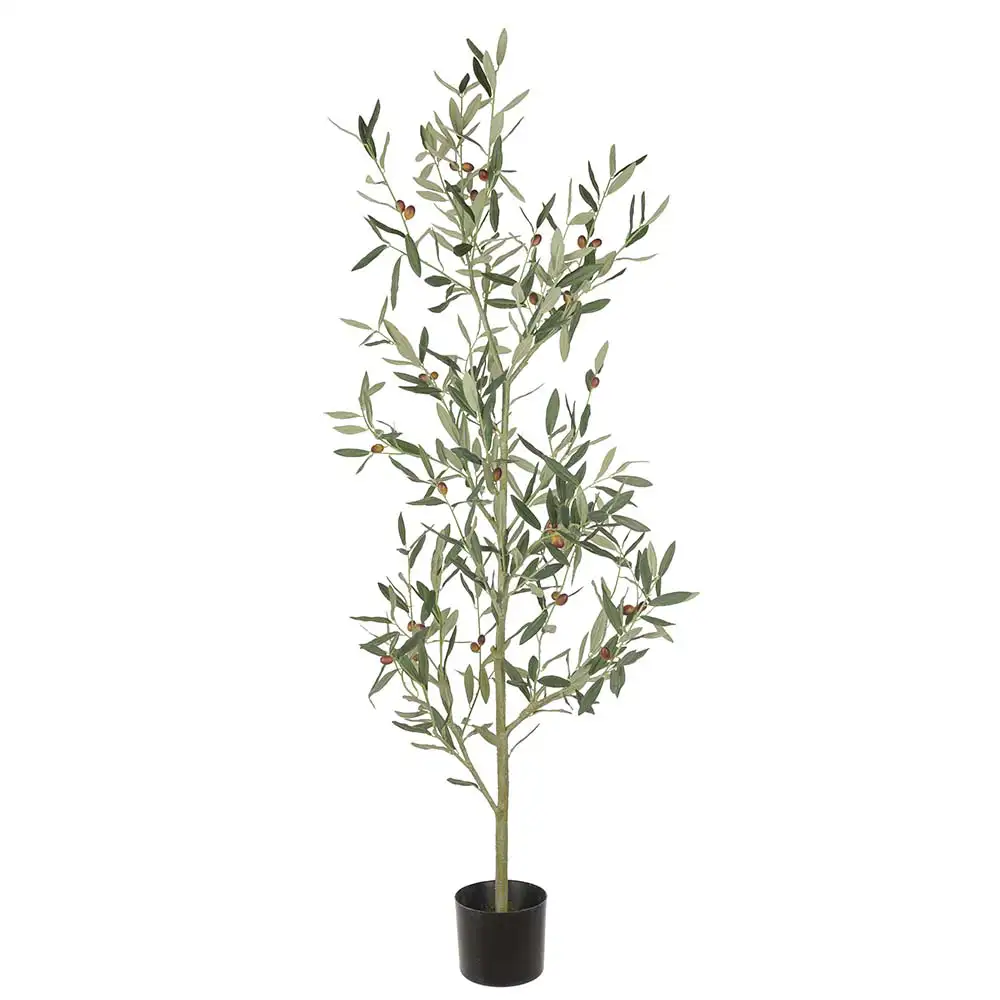 Mr Plant, Olivenbaum 140 cm Grün