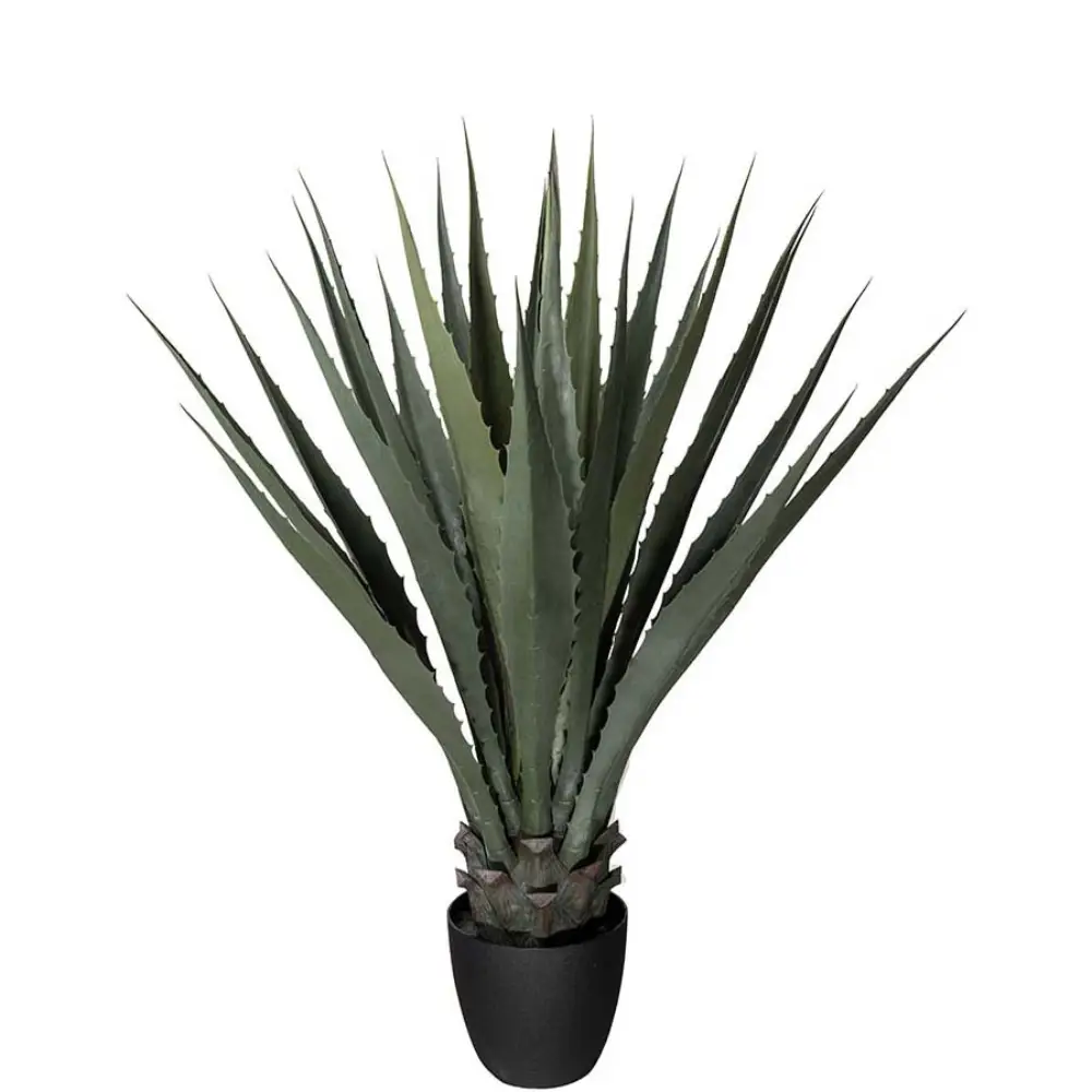 Mr Plant, Agave Grün 100 cm