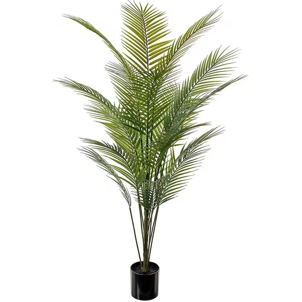 Mr Plant, Bergpalme, grüne Topfpflanze, 140 cm