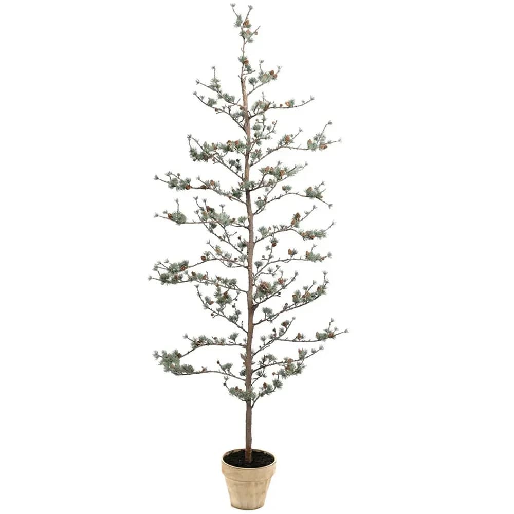 Mr Plant, Lärche 180 cm