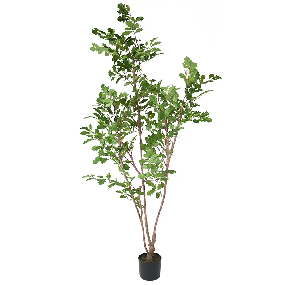 Mr Plant, Eichenbaum 170 cm