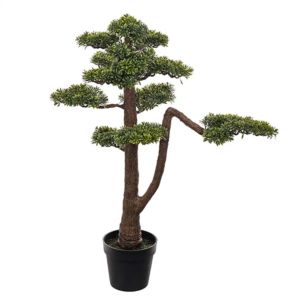 Mr Plant, Bonsai-Baum 95 cm