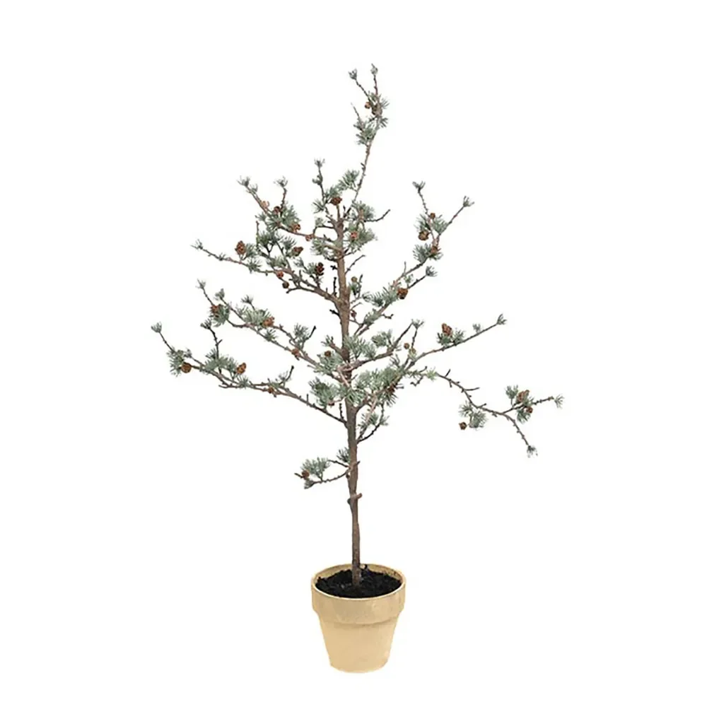 Mr Plant, Lärche 100 cm