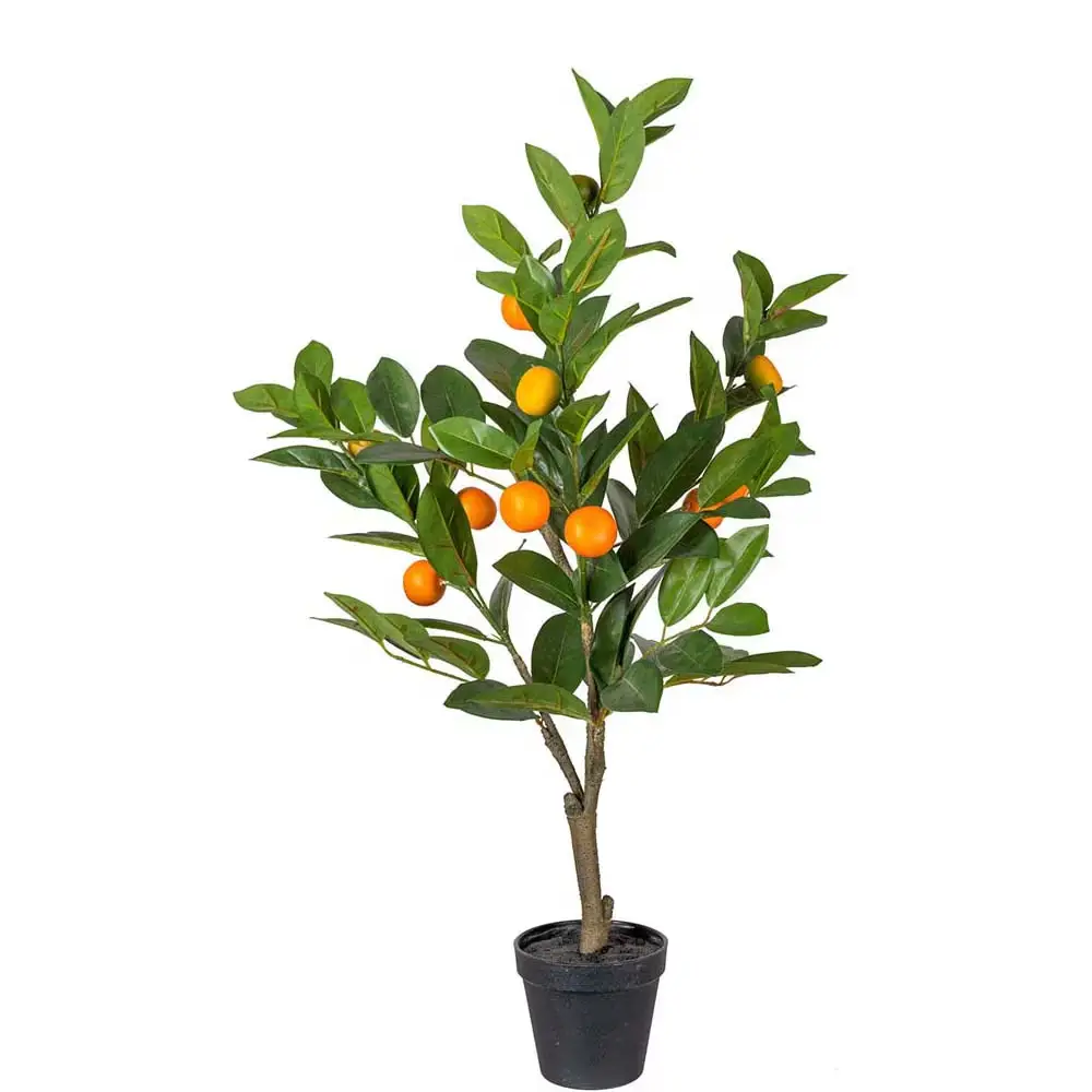 Mr Plant, Zitrusbaum Grün 70 cm