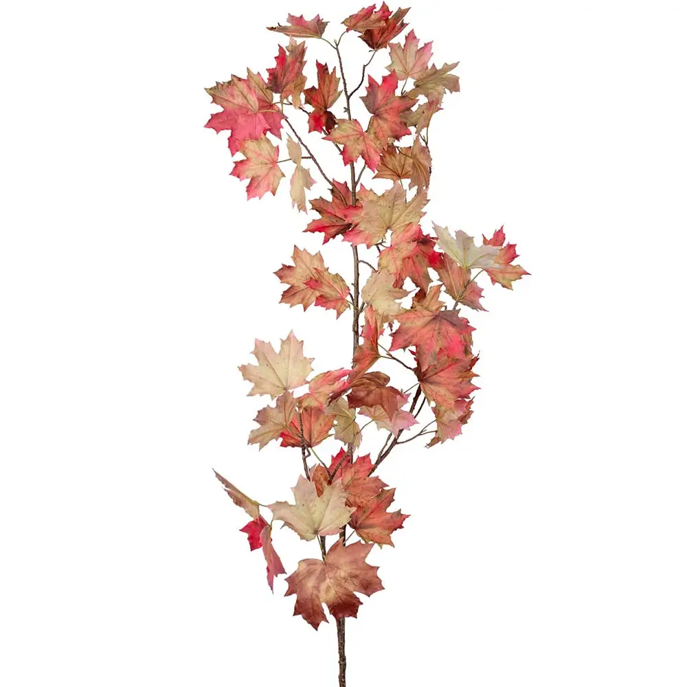 Mr Plant, Ahornzweig 230 cm