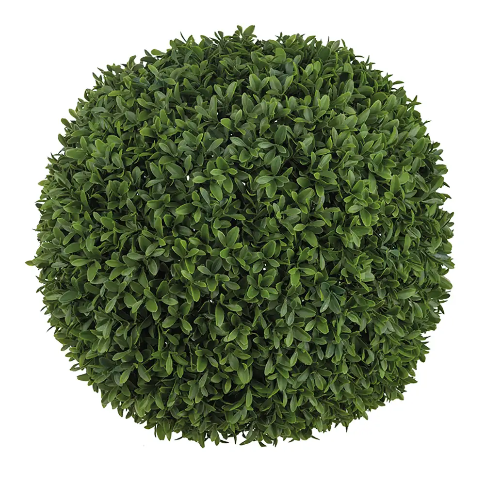 Mr Plant, Buchsbaum Kugel Grün 50 cm