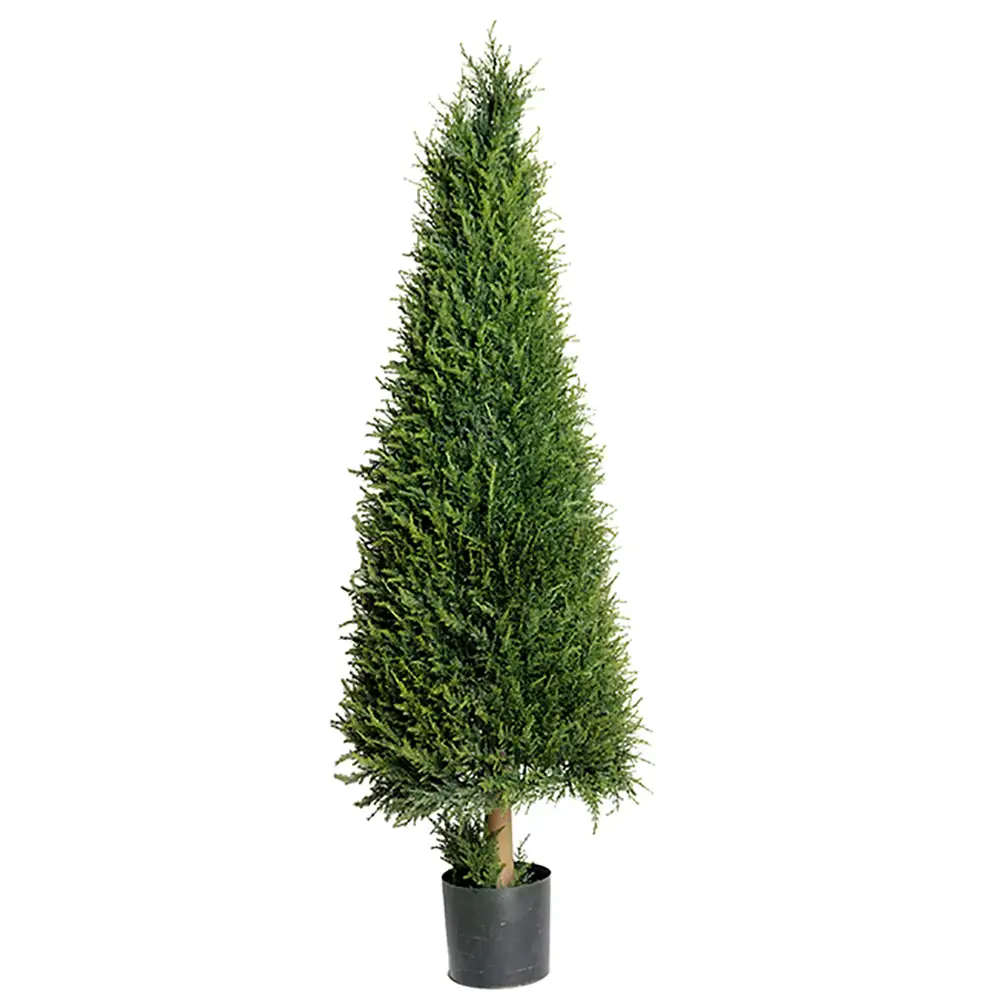 Mr Plant, Einzelner Baum 140 cm