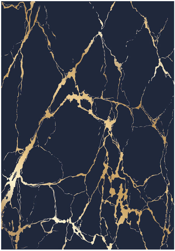 Wilton-Teppich - Cesina (schwarz/gold) (Größe: 160 x 230 cm)