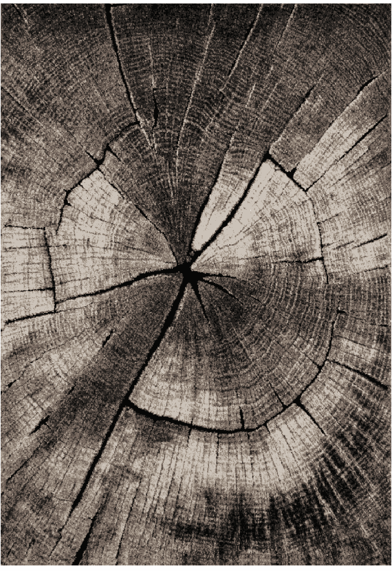 Wilton-Teppich - Event (grau) (Größe: 200 x 280 cm)
